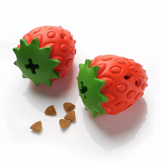 BerryTreat Dispenser Toy