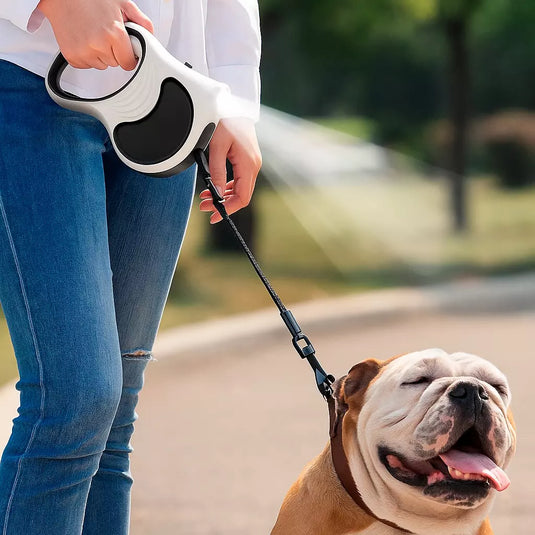 BrightStep Retractable Leash