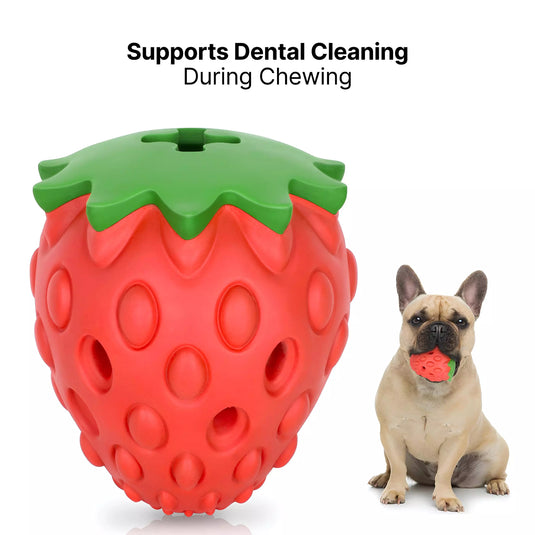 BerryTreat Dispenser Toy