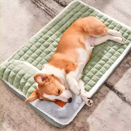 DreamRest Pet Mattress