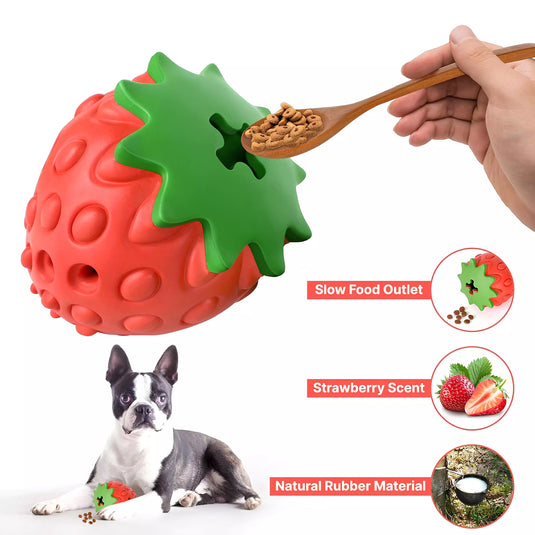 BerryTreat Dispenser Toy