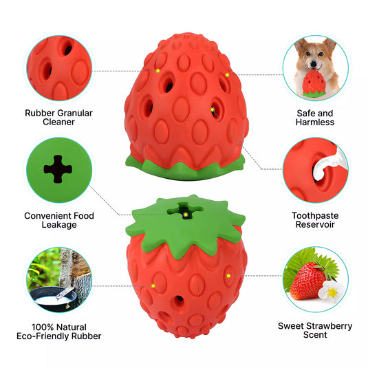 BerryTreat Dispenser Toy