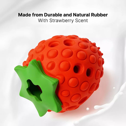 BerryTreat Dispenser Toy