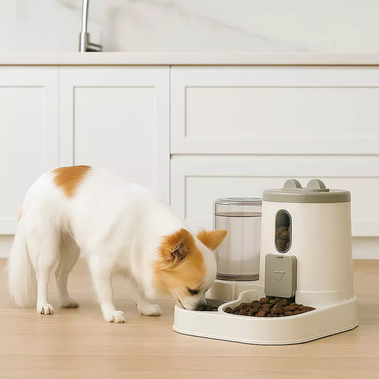 Duo EasyPet Feeder