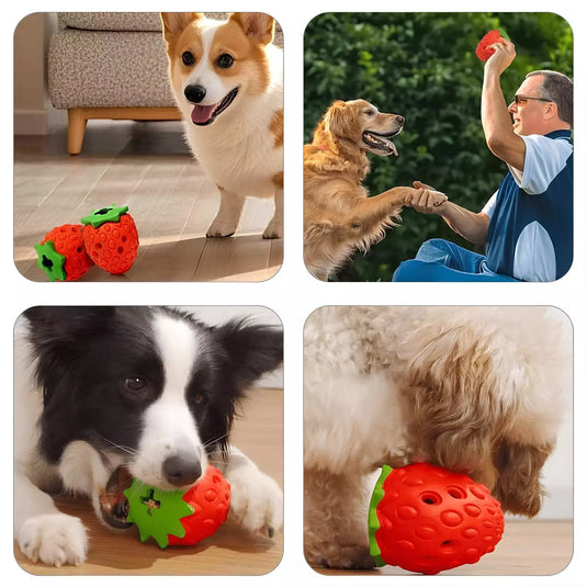 BerryTreat Dispenser Toy