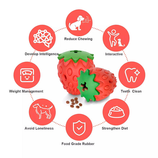 BerryTreat Dispenser Toy